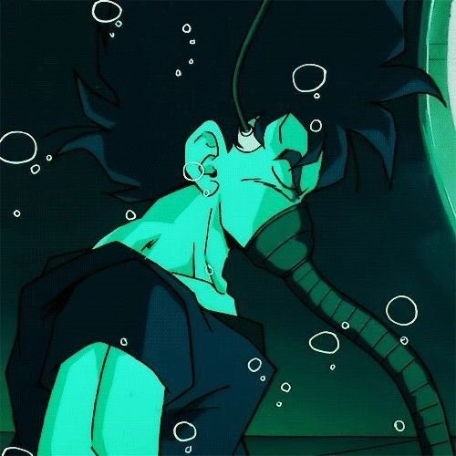 <em>Enzo Bd</em>